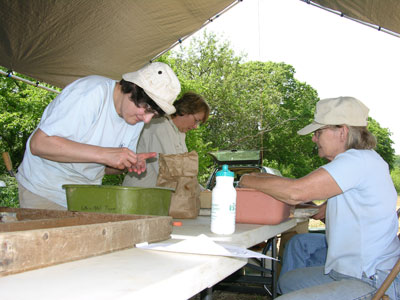 Carol works in the field lab with Carol 
                                          Cowherd and Nancy Geasey.