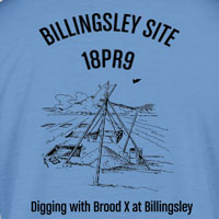 Billingsley Site (18PR9) - 2021