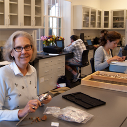 Julia King working in her lab