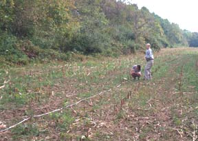 Students mark out locations for the next row of test pits.