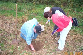 Joe Dent demonstrates how to take a sample for soil color measurements.