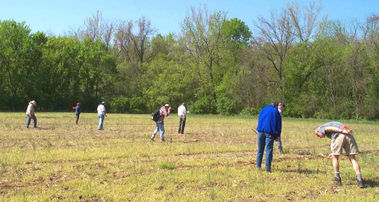 ASM members walk the field looking for surface items.